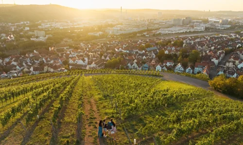 Green Spaces and Wine