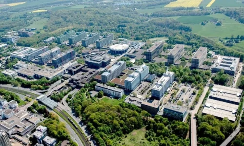 Multilingual Population