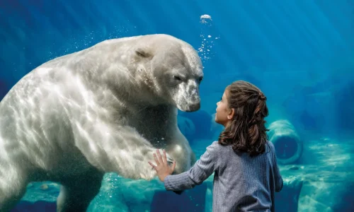 Other Notable Features zoo