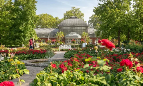 Palmengarten Frankfurt