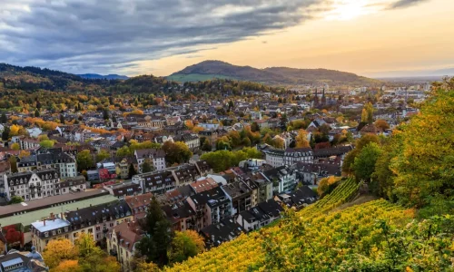 Sustainable and Green Practices