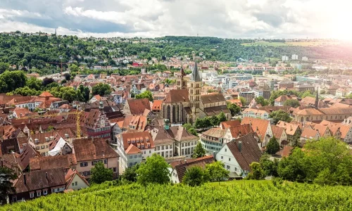 The Vineyard Capital