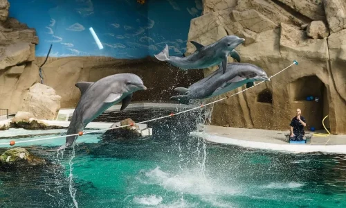 Zoo in the city of Duisburg